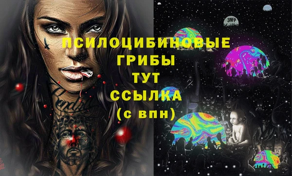 молекула духа Заволжск