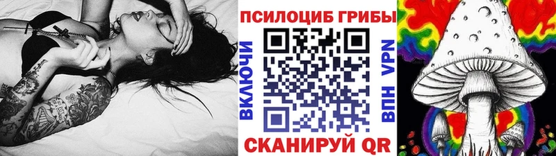 Псилоцибиновые грибы прущие грибы  Купить закладки  Каменногорск 